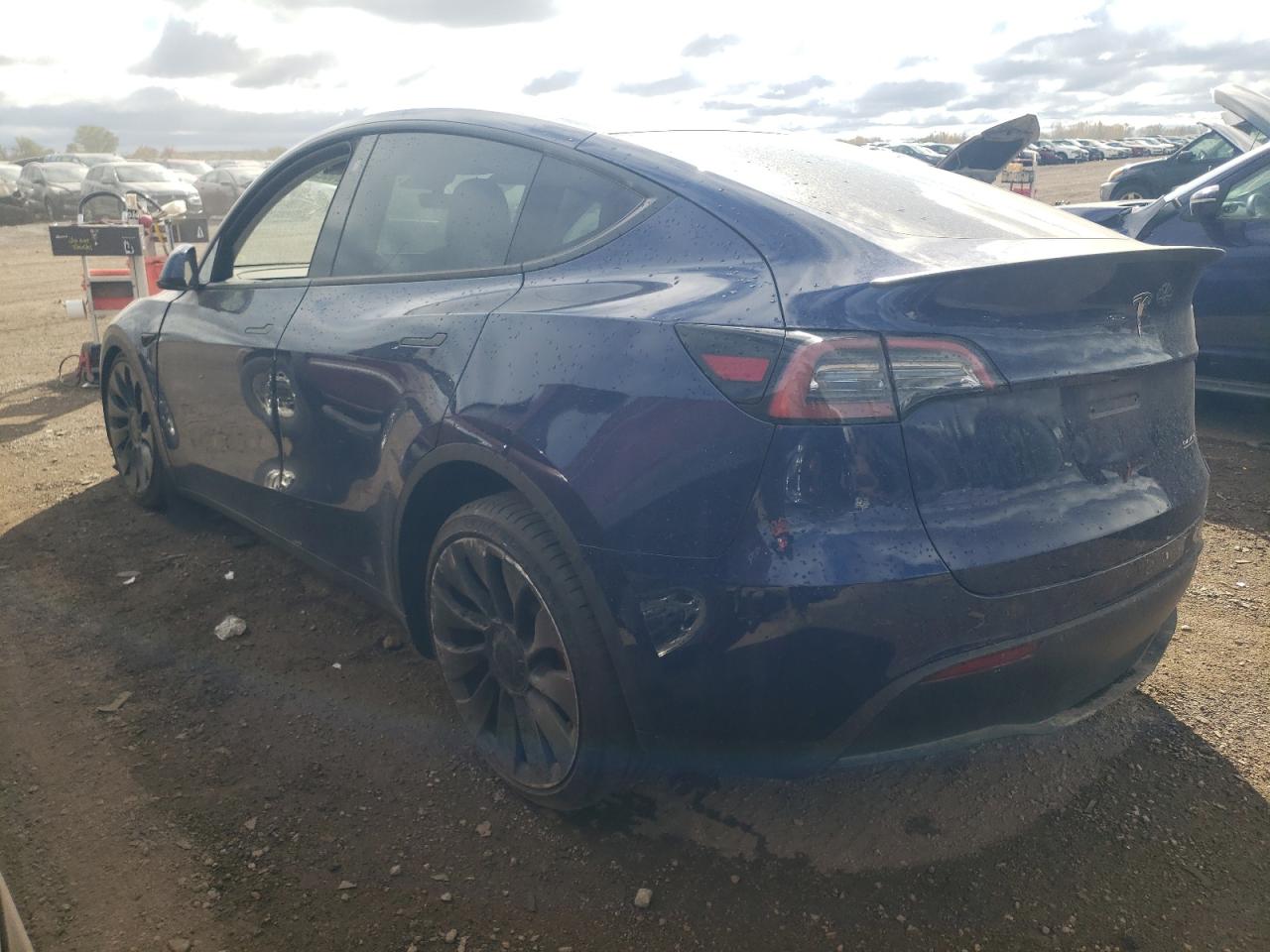 2022 TESLA MODEL Y  VIN:7SAYGDEF6NF554061