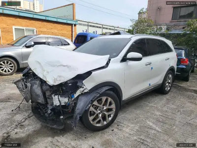 2019 Kia Sorento KNAPH81BBLA587699 VIN:KNAPH81BBLA587699