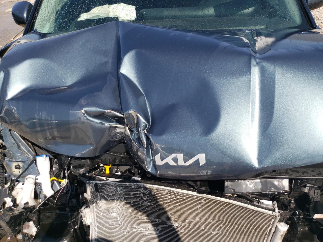 2023 KIA CARNIVAL EX VIN:KNDNC5H39P6296782