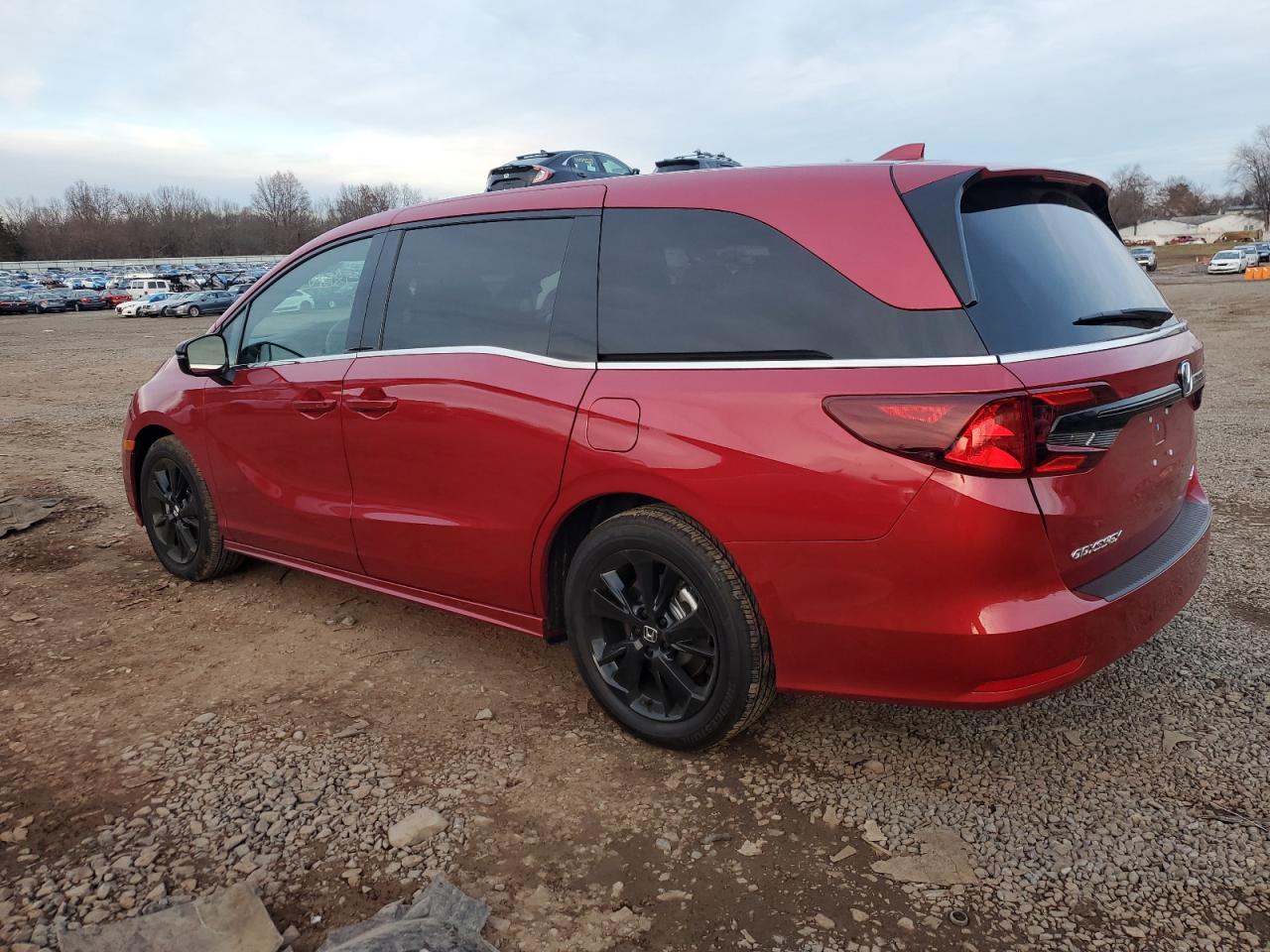 2024 HONDA ODYSSEY SPORT VIN:5FNRL6H74RB070621