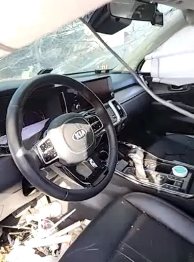 2021 Kia Sorento KNARF81BGMA104013 VIN:KNARF81BGMA104013
