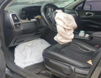 2021 Kia Sorento KNARF81BGMA076325 VIN:KNARF81BGMA076325