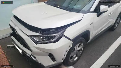 2020 Toyota RAV4 JTMDWRFV7LD545648 VIN:JTMDWRFV7LD545648