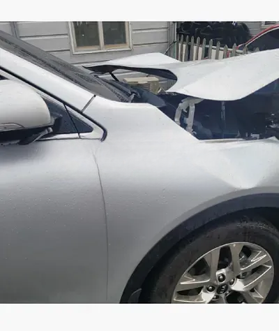 2020 Kia Sorento KNAPH81ABLA644913 VIN:KNAPH81ABLA644913