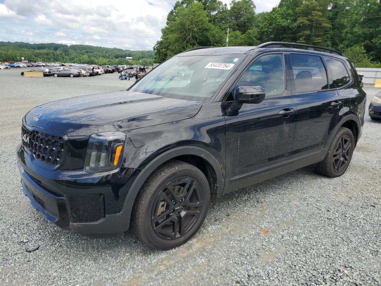 2024 KIA TELLURIDE EX VIN:5XYP3DGC6RG446545