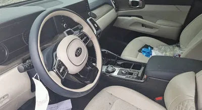 2021 Kia Sorento KNARH81GBMA021079 VIN:KNARH81GBMA021079