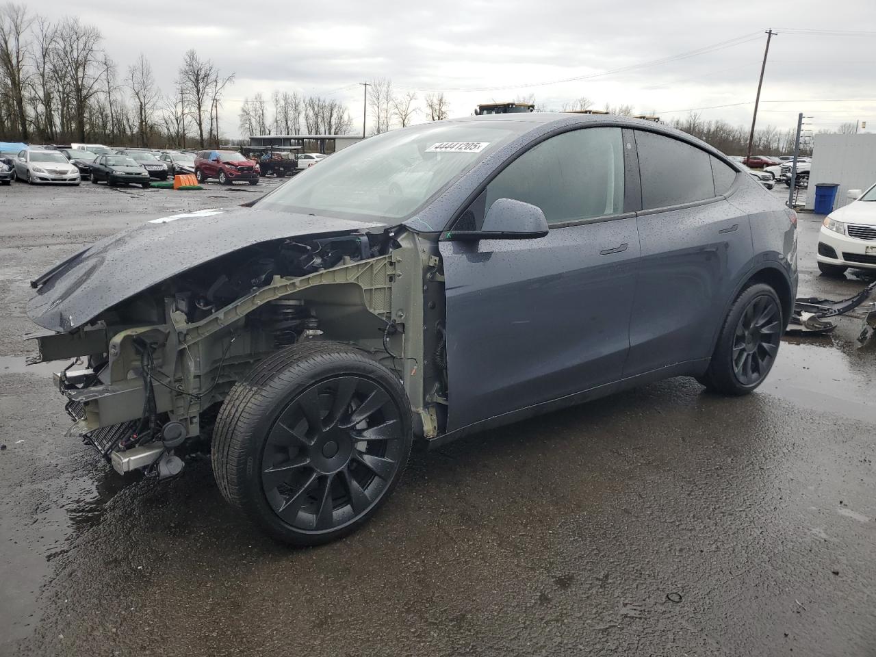 2023 TESLA MODEL Y  VIN:7SAYGDEE4PA070526