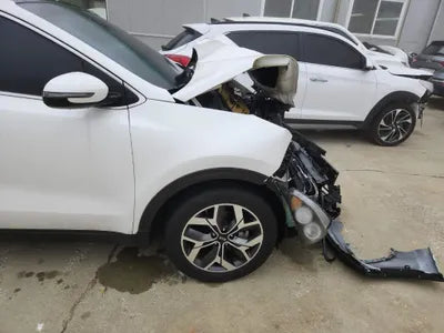 2019 Kia Sportage KNAPN813BKK670181 VIN:KNAPN813BKK670181