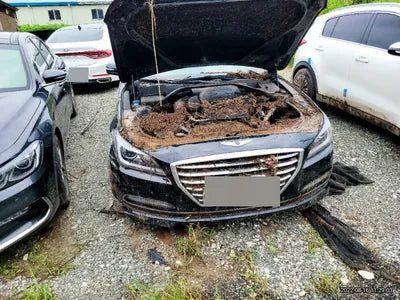 2015 acupuncture nessis 3.3 VIN: