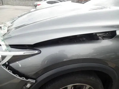 2019 Infiniti QX30 SJKCH53F5KA010410 VIN:SJKCH53F5KA010410