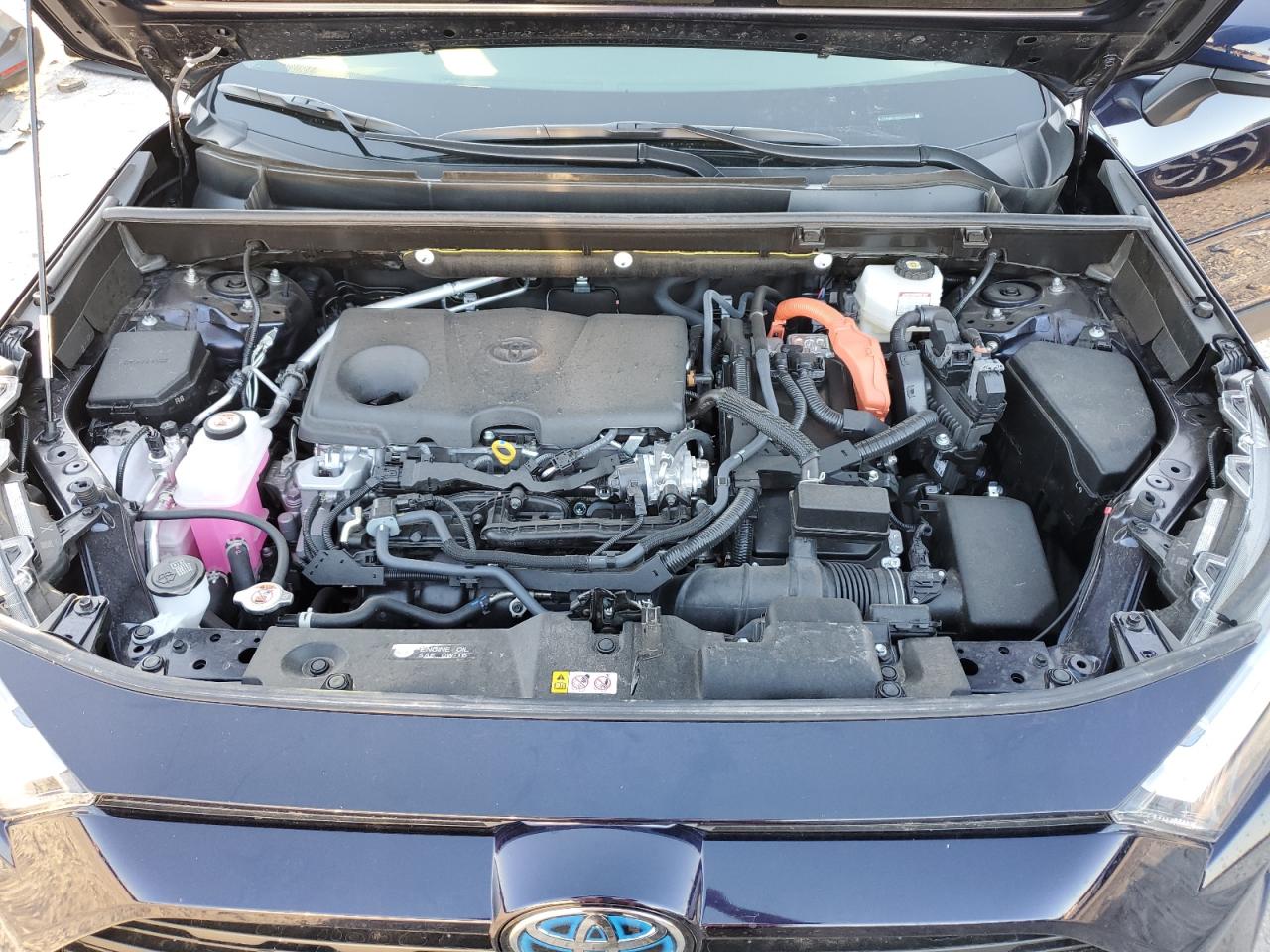 2023 TOYOTA RAV4 XLE VIN:JTMRWRFV5PD187932