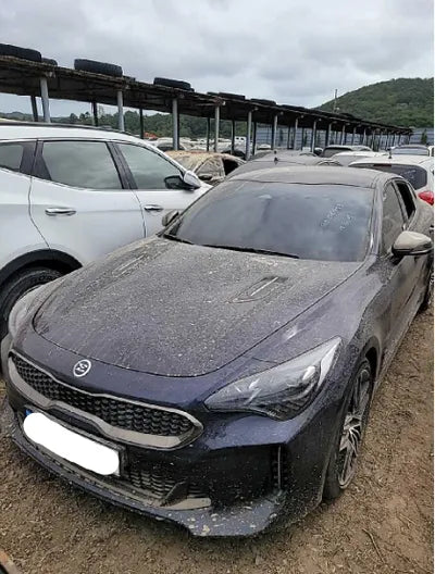 2021 Kia Stinger KNAE351DDMS111434 VIN:KNAE351DDMS111434