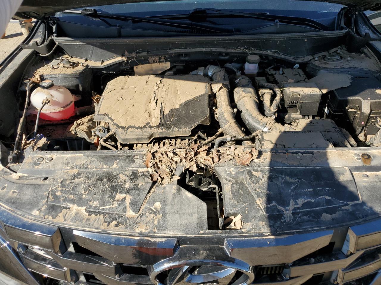 2023 HYUNDAI SANTA CRUZ NIGHT VIN:5NTJCDAF3PH055739