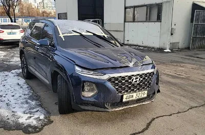 2019 Hyundai Santa FE KMHS381BBKU048278 VIN:KMHS381BBKU048278