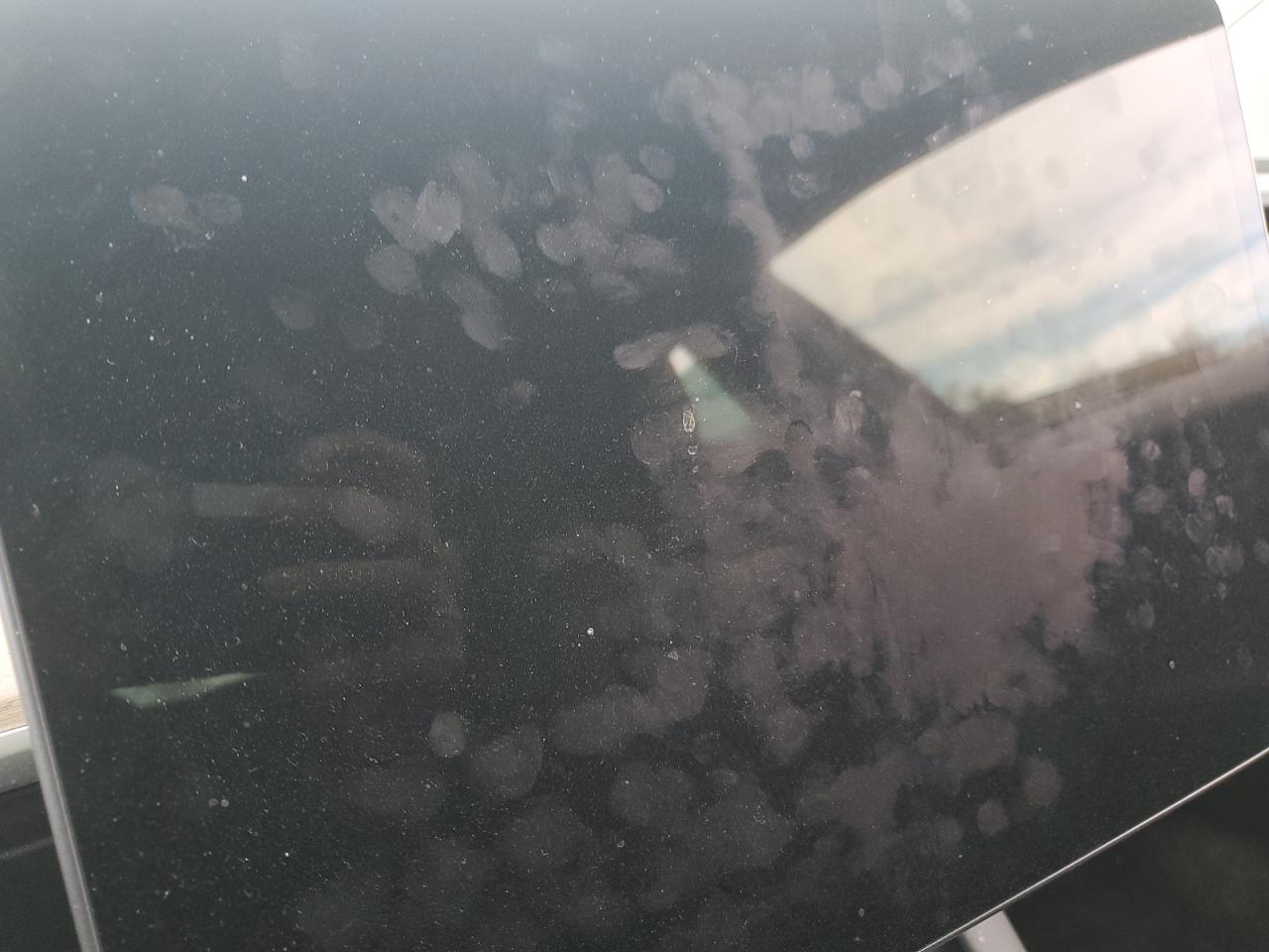 2022 TESLA MODEL 3  VIN:5YJ3E1EA3NF303899