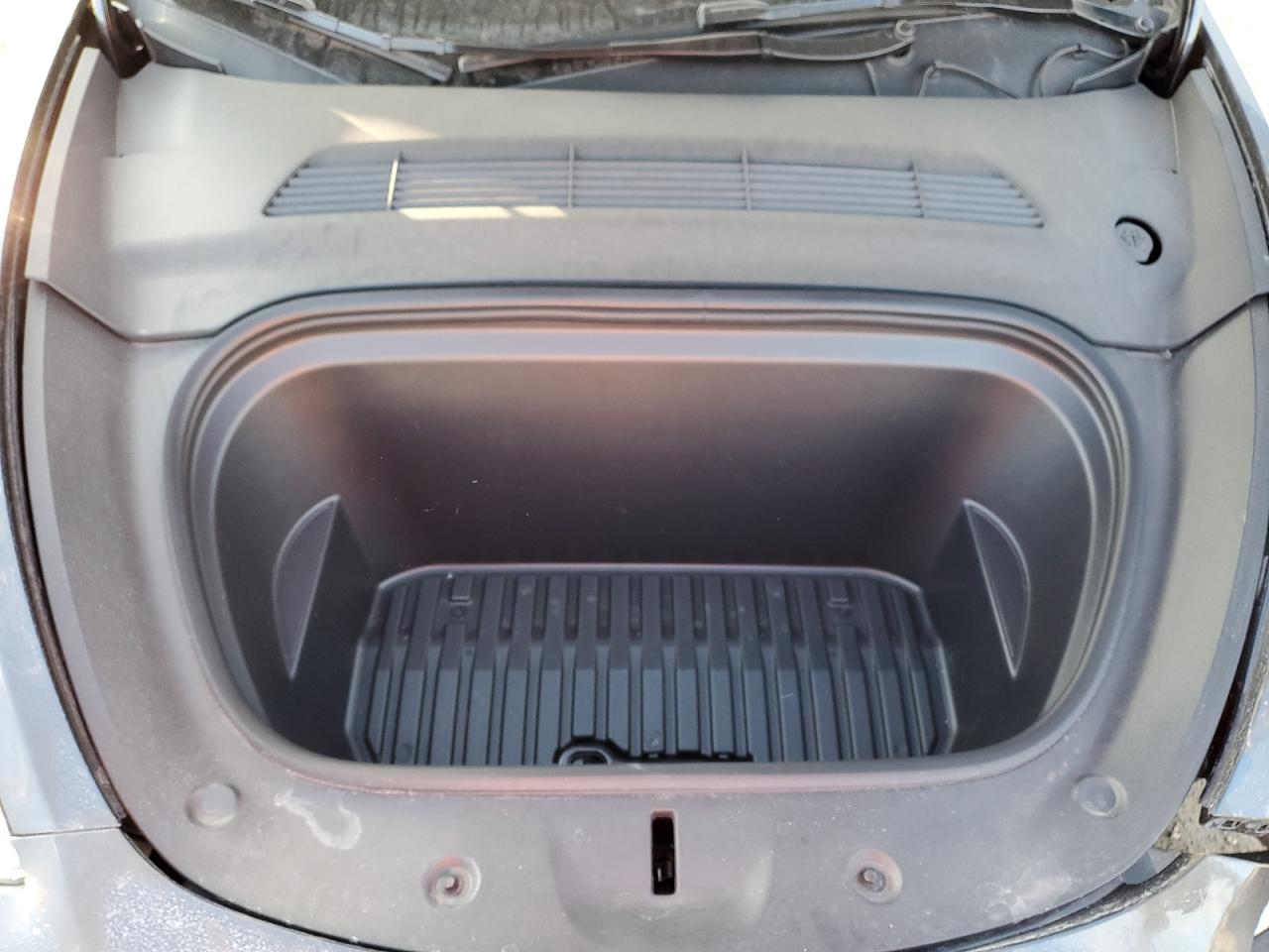 2024 TESLA MODEL Y  VIN:7SAYGDEEXRA234400