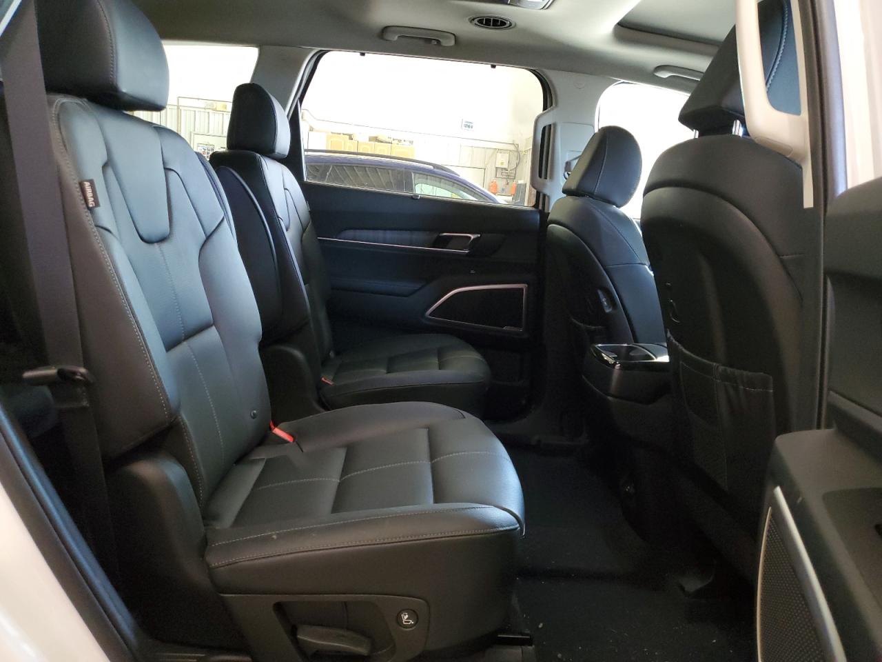 2024 KIA TELLURIDE EX VIN:5XYP3DGC8RG484830