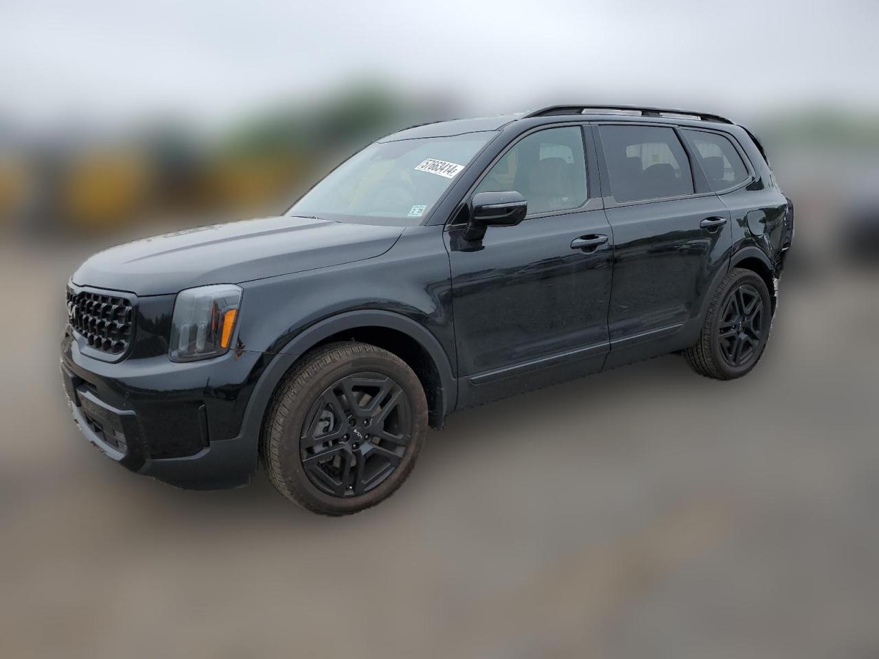 2024 KIA TELLURIDE SX VIN:5XYP5DGC5RG485492