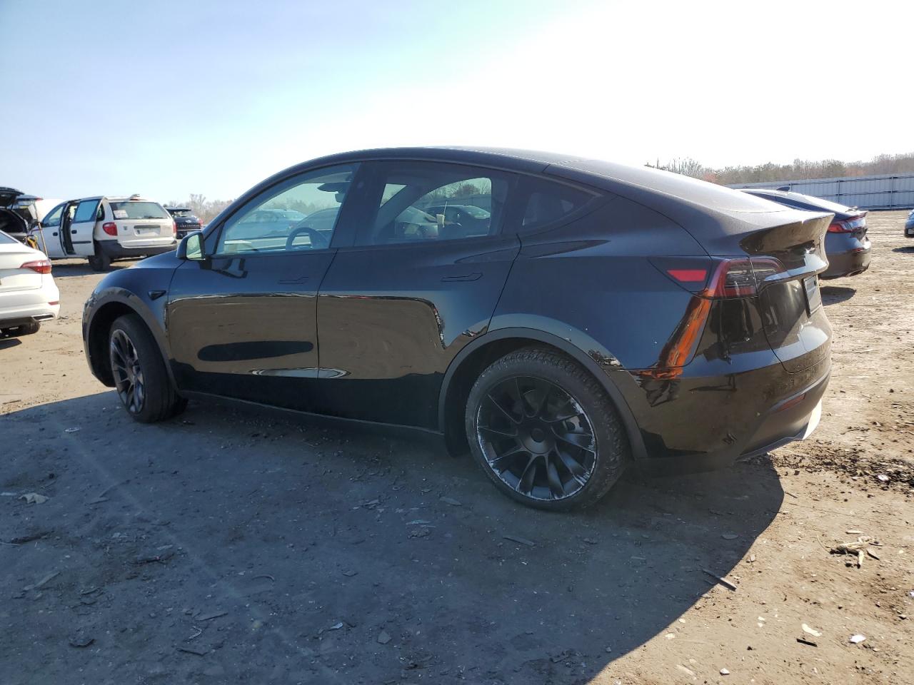 2023 TESLA MODEL Y  VIN:7SAYGAEE5PF980509