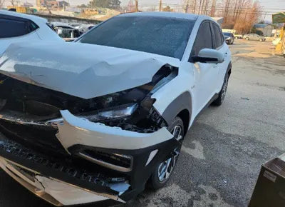 2020 Hyundai Kona KMHK381EGLU028060 VIN:KMHK381EGLU028060