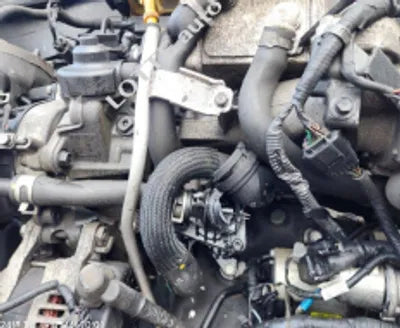 2021 Hyundai Santa FE KMHS281HGMU323267 VIN:KMHS281HGMU323267