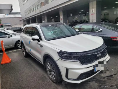 2021 Kia Sorento KNARK81BHMA012892 VIN:KNARK81BHMA012892