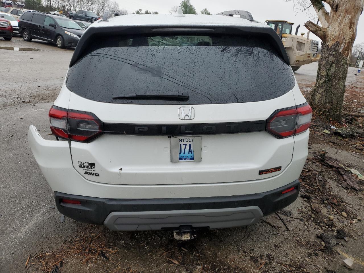 2024 HONDA PILOT TRAILSPORT VIN:5FNYG1H65RB036567