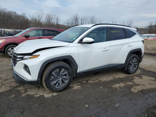 2023 HYUNDAI TUCSON BLUE VIN:KM8JBCA11PU131802