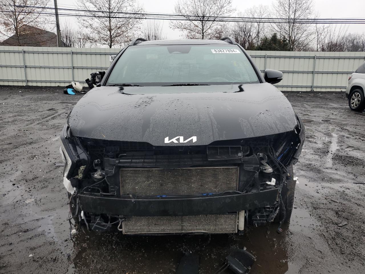 2023 KIA SPORTAGE X LINE VIN:5XYK6CAF1PG123449