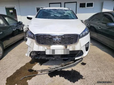2019 Kia Sorento KNAPH81BBLA564657 VIN:KNAPH81BBLA564657