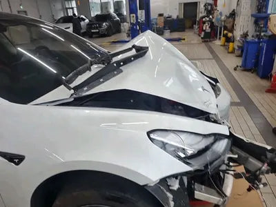 2020 Tesla Model 3 5YJ3E1EB6LF585137 VIN:5YJ3E1EB6LF585137