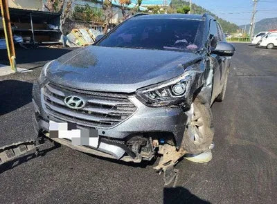 2017 Hyundai Santa FE KMHSW81UBJU845884 VIN:KMHSW81UBJU845884