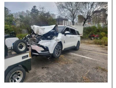 2021 Kia Carnival KNANB81BBMS032209 VIN:KNANB81BBMS032209