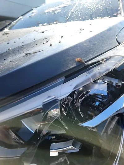 2016 Hyundai Santa FE KMHSW81XBGU540496 VIN:KMHSW81XBGU540496