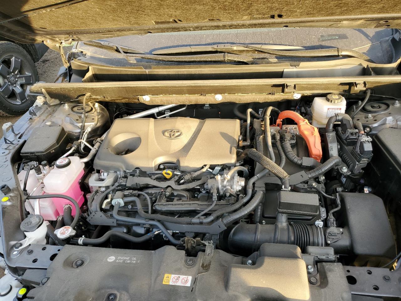 2024 TOYOTA RAV4 LIMITED VIN:JTMD6RFV6RD116803