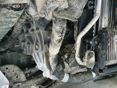 2020 Hyundai Kona 950KMHK381GFLU092 VIN:950KMHK381GFLU092