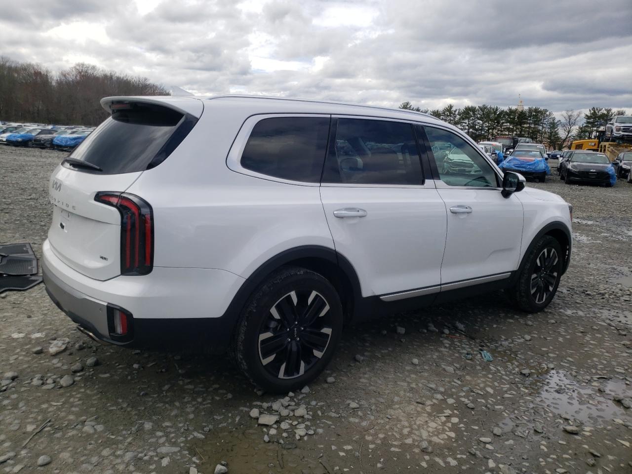 2024 KIA TELLURIDE SX VIN:5XYP5DGCXRG423277