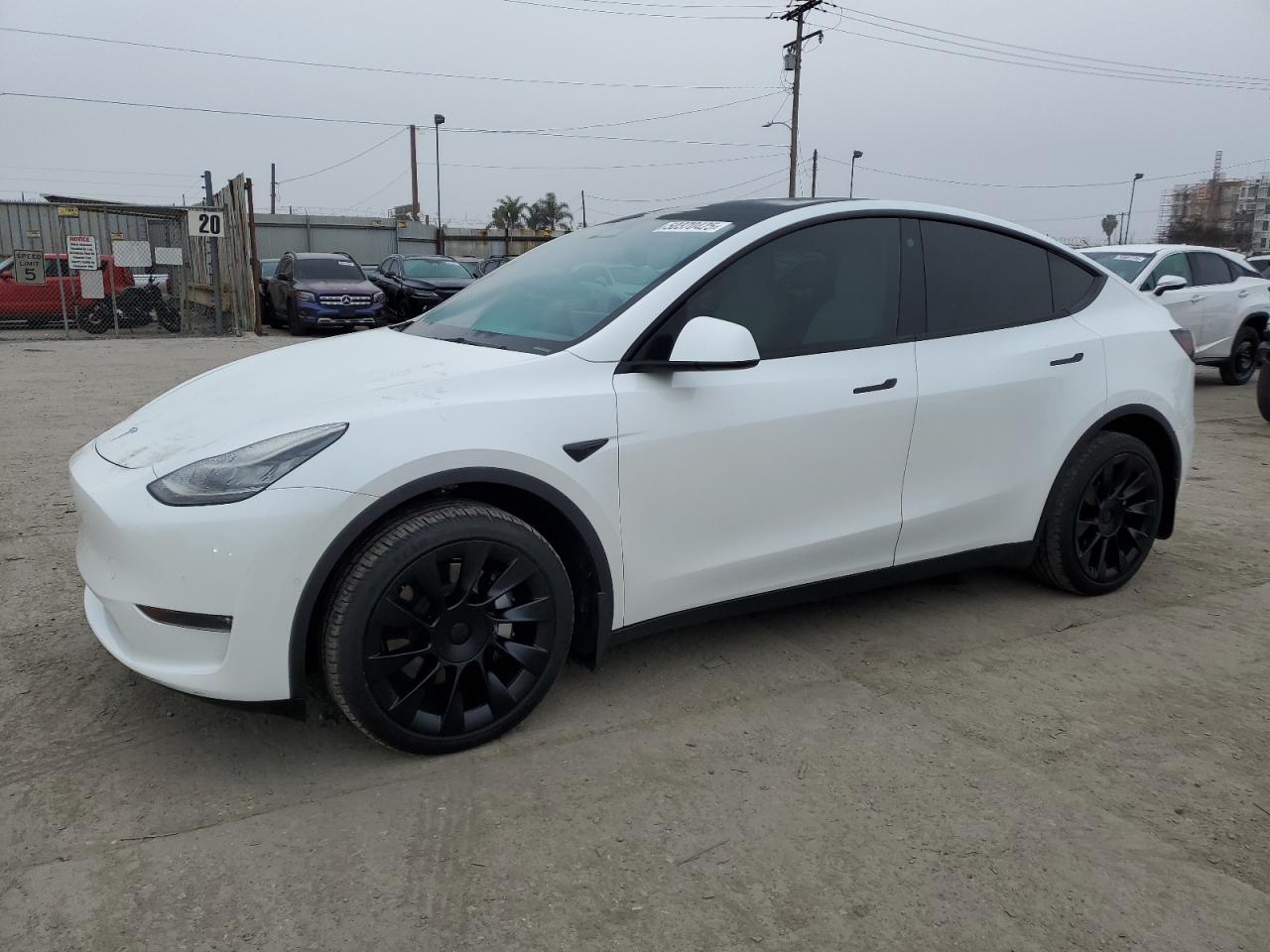 2022 TESLA MODEL Y  VIN:7SAYGDEE8NF422636
