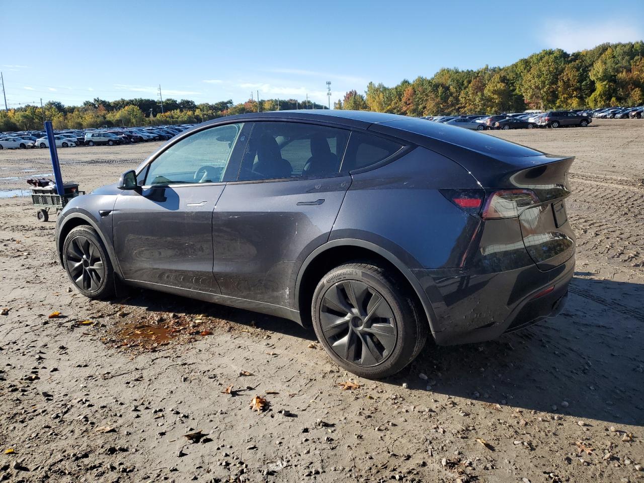 2024 TESLA MODEL Y  VIN:7SAYGDEE1RF165535