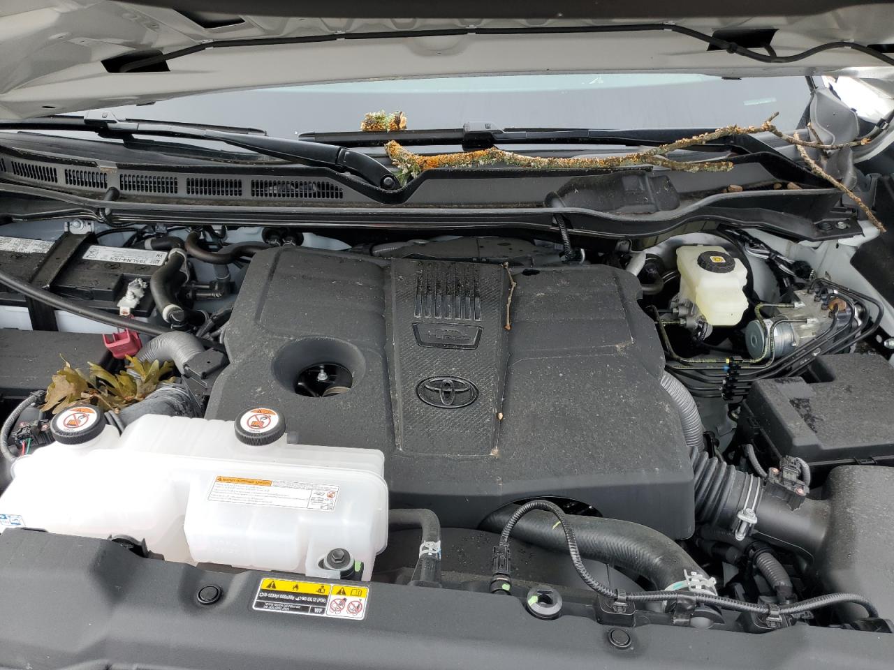 2024 TOYOTA TUNDRA DOUBLE CAB SR VIN:5TFKB5AA7RX036571