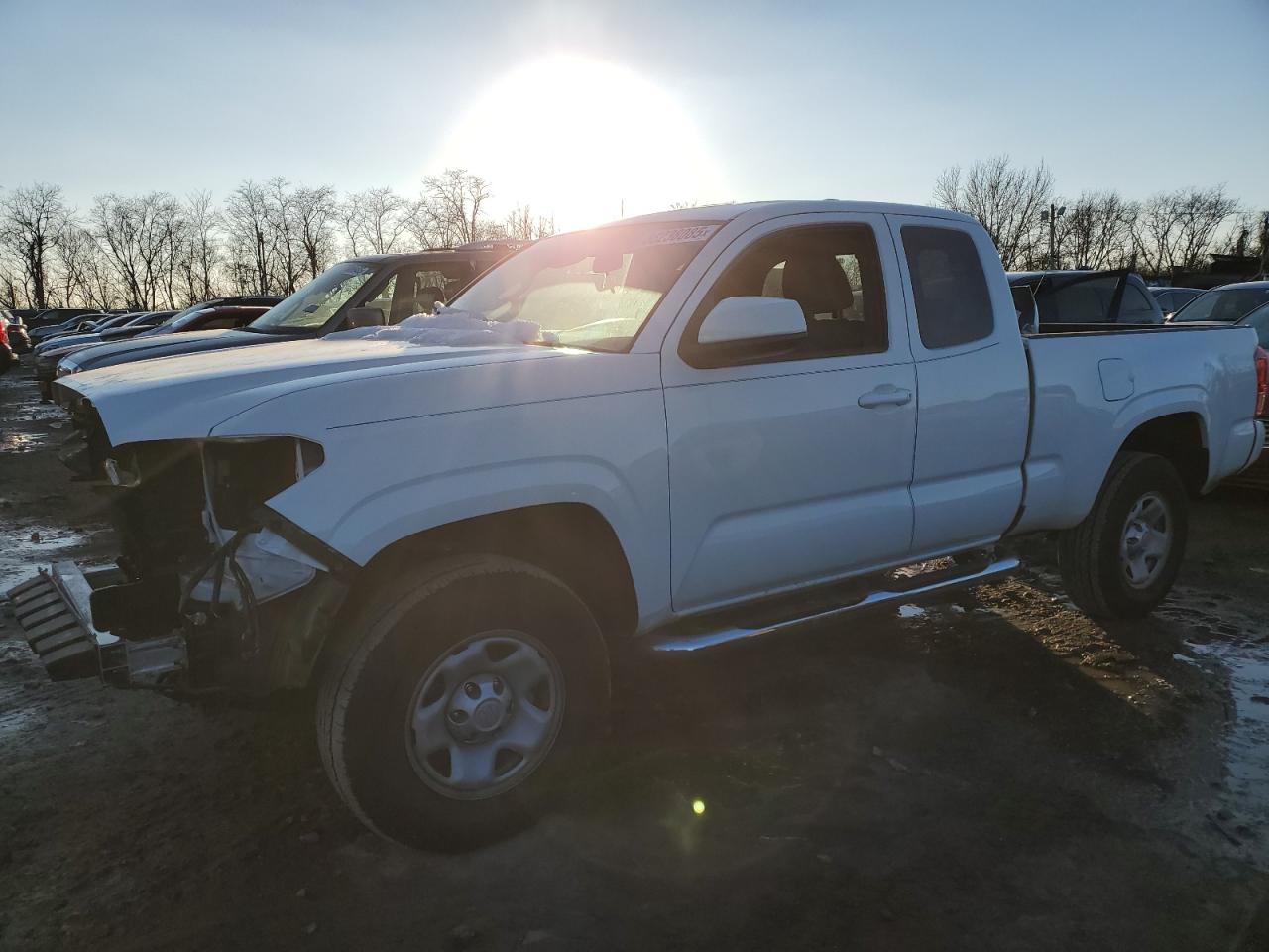 2023 TOYOTA TACOMA ACCESS CAB VIN:3TYRX5GNXPT080209