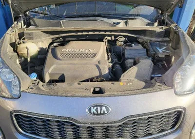 2016 Kia Sportage KNAPM813DGK010242 VIN:KNAPM813DGK010242