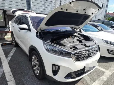 2019 Kia Sorento VIN: