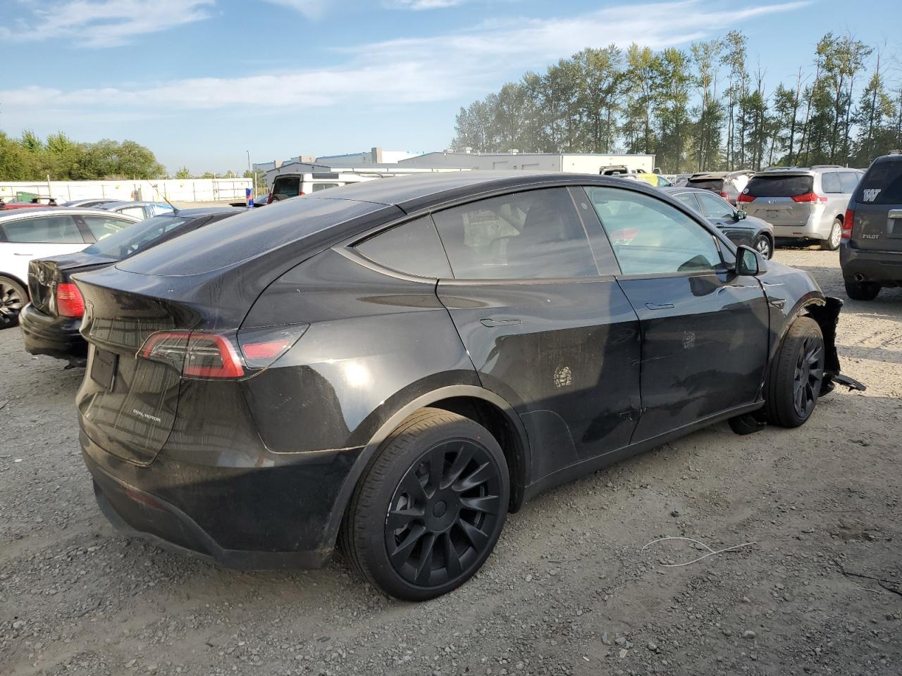 2023 TESLA MODEL Y  VIN:7SAYGDEE3PF703908