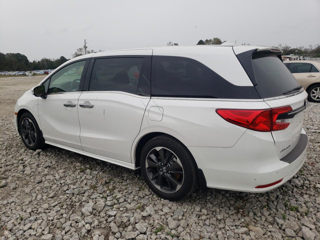 2024 HONDA ODYSSEY ELITE VIN:5FNRL6H99RB018113