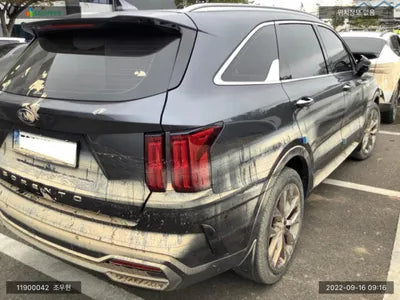 2020 Kia Sorento KNARL81BGMA055224 VIN:KNARL81BGMA055224