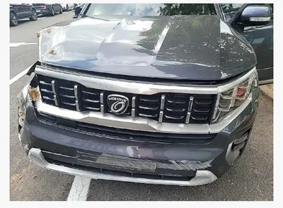 2020 Kia Mohave KNAKN814DLA207157 VIN:KNAKN814DLA207157