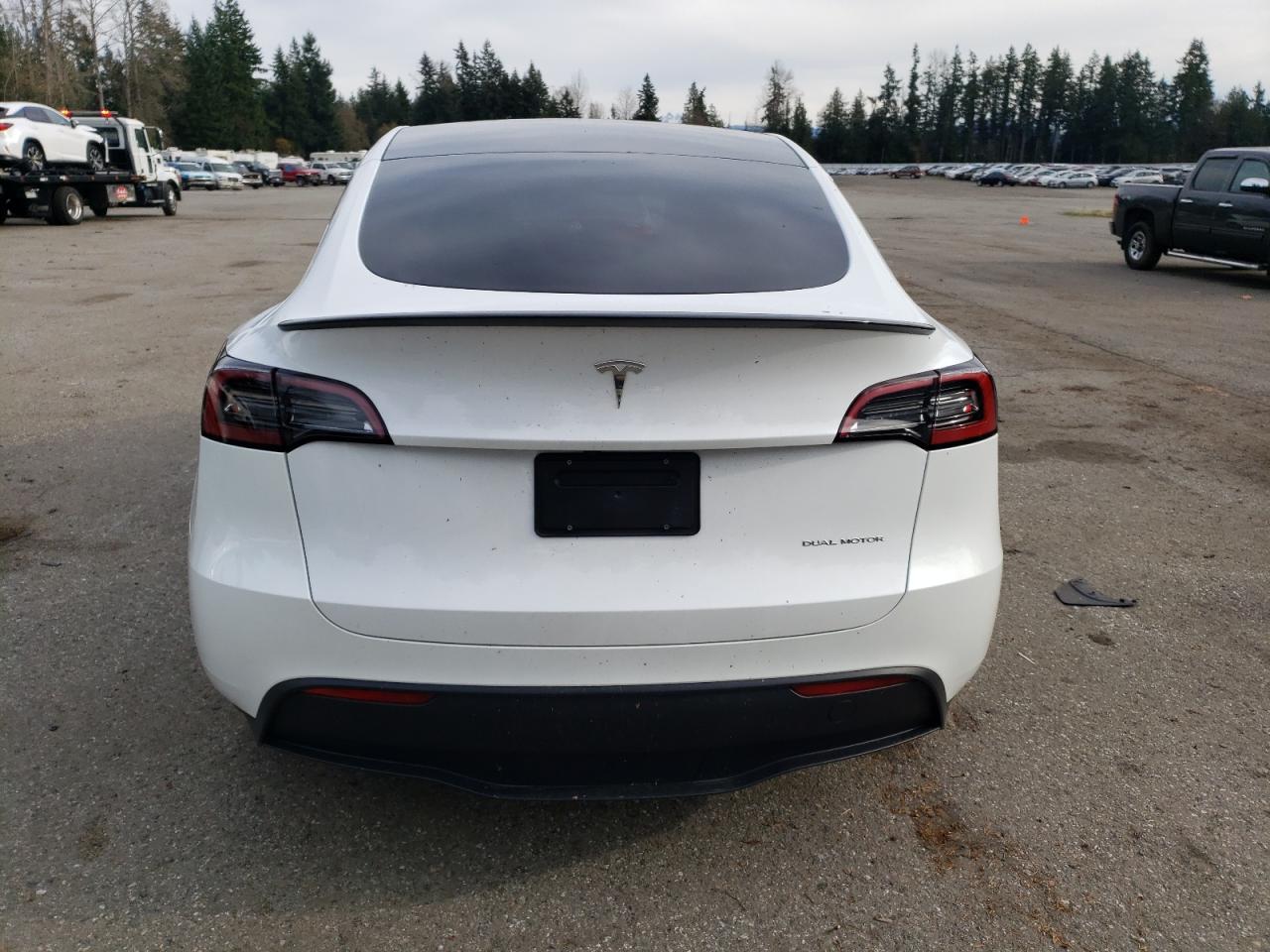 2024 TESLA MODEL Y  VIN:7SAYGAEE1RF190241