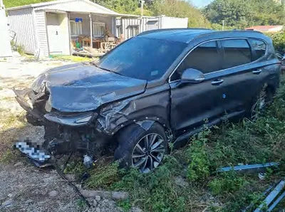 2019 Hyundai Santa FE KMHS281CBKU142045 VIN:KMHS281CBKU142045