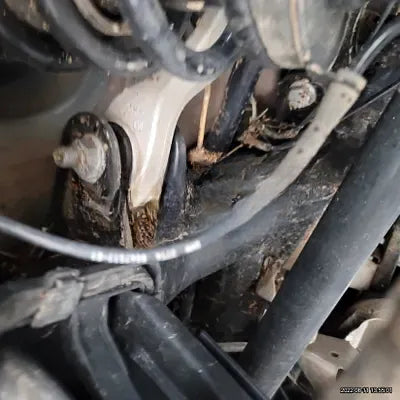 2021 BMW X4 M NONE VIN: